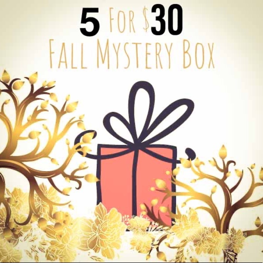 📦5 for $30 Fall mystery box